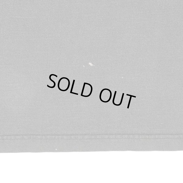 画像4: 00's INCUBUS バンドTシャツ "a crow left of the murder" (4)