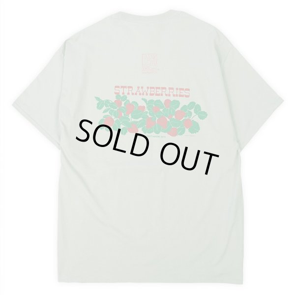 画像3: 00's LIBERTY GRAPHICS × Frank Lloyd Wright テストプリントTシャツ "DEADSTOCK" #23-5 (3)