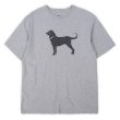 画像1: 00's The Black Dog 両面プリントTシャツ (1)