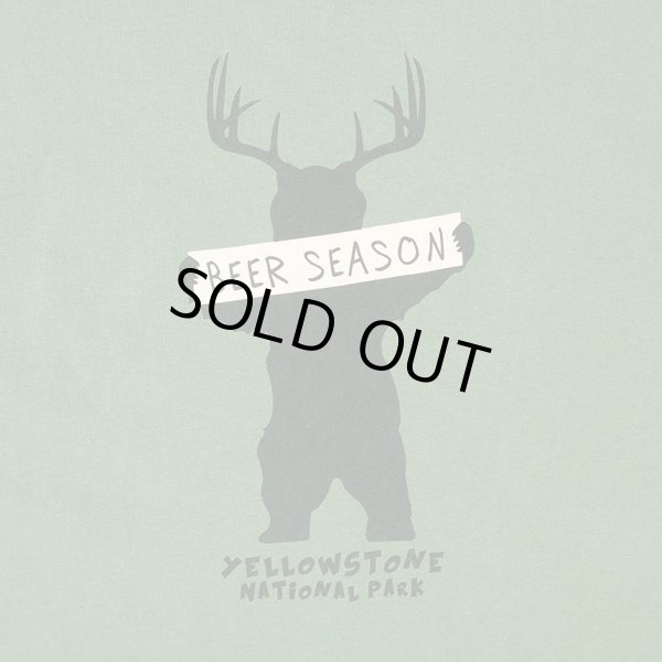 画像3: 00's YELLOW STONE NATIONAL PARK スーベニアTシャツ (3)