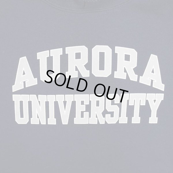 画像3: 00's NEW AGENDA BY PERRIN カレッジロゴ スウェットパーカー (3)