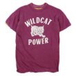 画像1: 70-80's UNKNOWN W-FACE Tシャツ "WILD CAT POWER" (1)