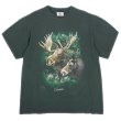 画像1: 90-00's Canada スーベニアTシャツ (1)