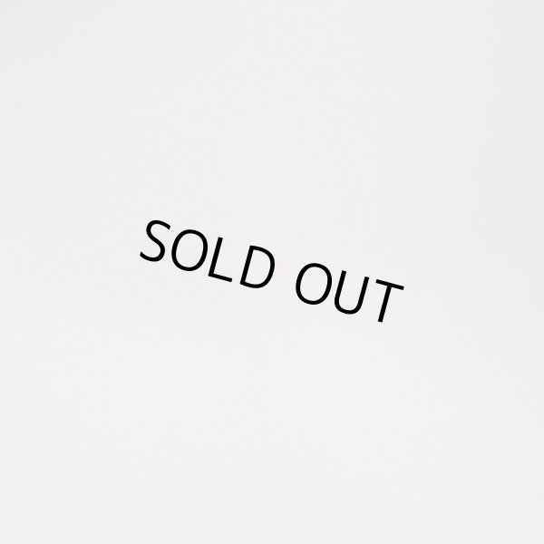 画像4: 00's Polo Ralph Lauren フーディーカットソー (4)