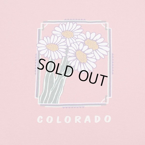 画像3: 90's COLORADO スーベニアTシャツ (3)