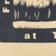 画像3: 90's Fruit of the loom アニマルプリントTシャツ (3)