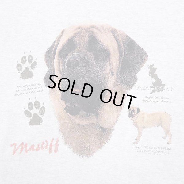 画像3: 90-00's Fruit of the Loomボディ スウェットシャツ “DEADSTOCK” (3)