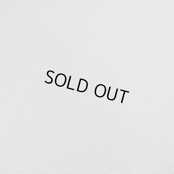 画像4: 00's Carhartt ダックペインターパンツ "B11 DES" (4)