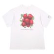 画像1: 90's PLANT THE EARTH プリントTシャツ "MADE IN USA" (1)