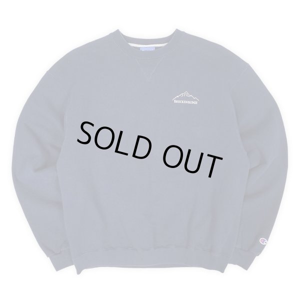 画像1: 00's Champion 企業ロゴ刺繍 スウェット (1)