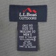 画像3: Late 90's L.L.Bean OUTDOORS ダブルニーパンツ (3)