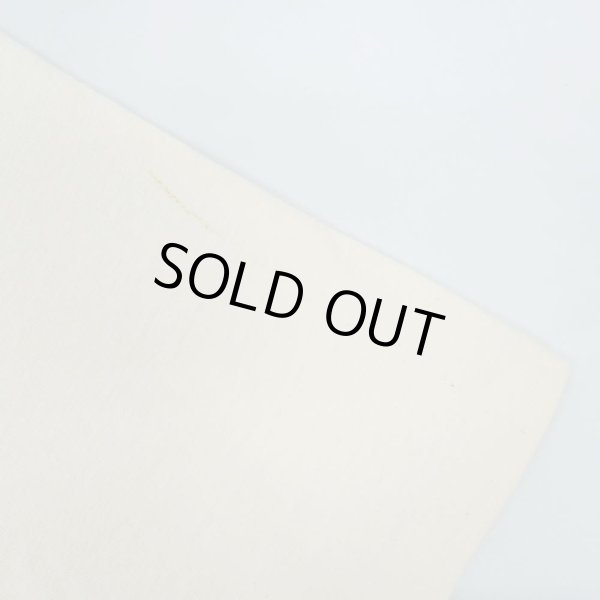 画像5: 80's RASTAFARIAN SAFARI ポケットTシャツ "MADE IN USA" (5)