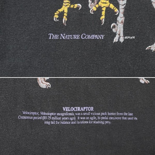 画像3: 90's The Nature Company プリントTシャツ "MADE IN USA / Hanes Body" (3)