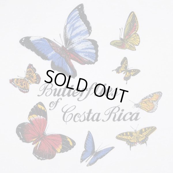 画像2: 00's Butterflies of Costa Rica スーベニアTシャツ (2)
