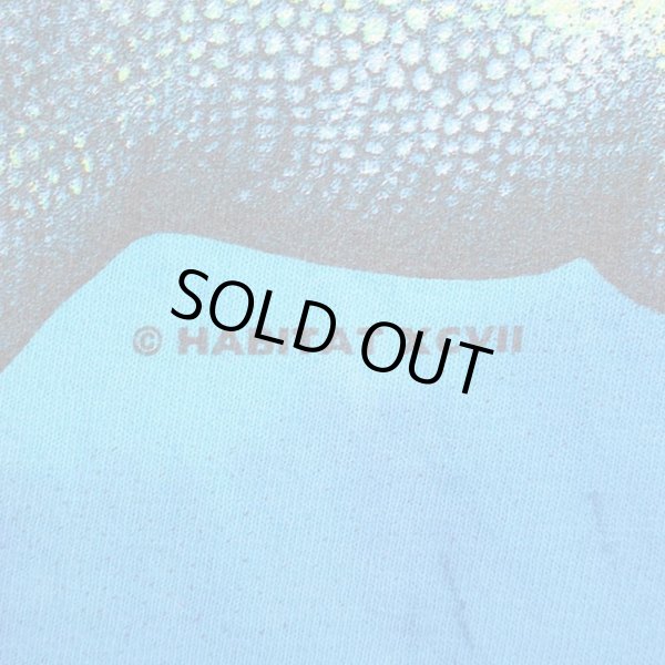 画像5: 90's HABITAT タイダイ染め プリントTシャツ "Cabela's" (5)