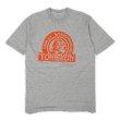 画像1: 70's ARTEX フロッキープリントTシャツ (1)