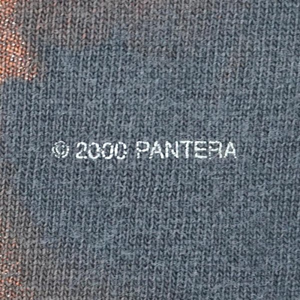 画像4: Early 00's PANTERA バンドTシャツ (4)