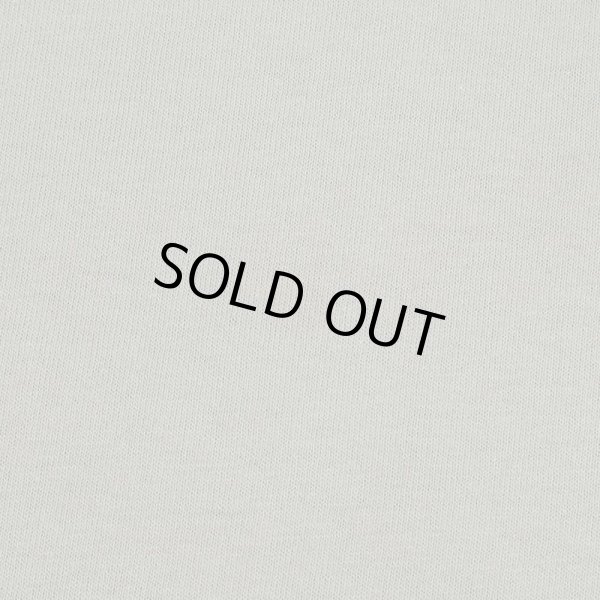 画像4: 00's GLACIER NATIONAL PARK スーベニアTシャツ (4)