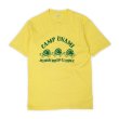 画像1: 70's ARTEX 染み込みプリントTシャツ (1)