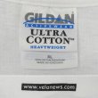 画像3: Early 00's VeloNews 両面プリントTシャツ (3)