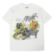 画像1: 80's Smithsonian's National Zoo スーベニアTシャツ "MADE IN USA" (1)
