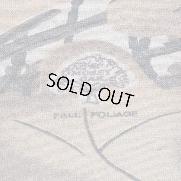 画像4: 90's MOSSY OAK リアルツリーカモ柄 L/S ポケットTシャツ "MADE IN USA" (4)