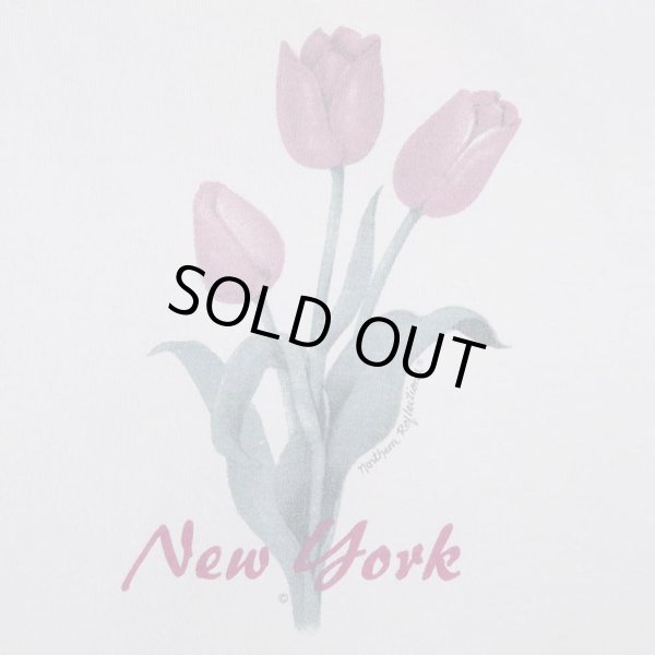 画像3: 90's NORTHERN REFLECTIONS アートTシャツ (3)