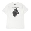 画像1: 90's Scottish Terrier ドッグプリントTシャツ "MADE IN USA" (1)