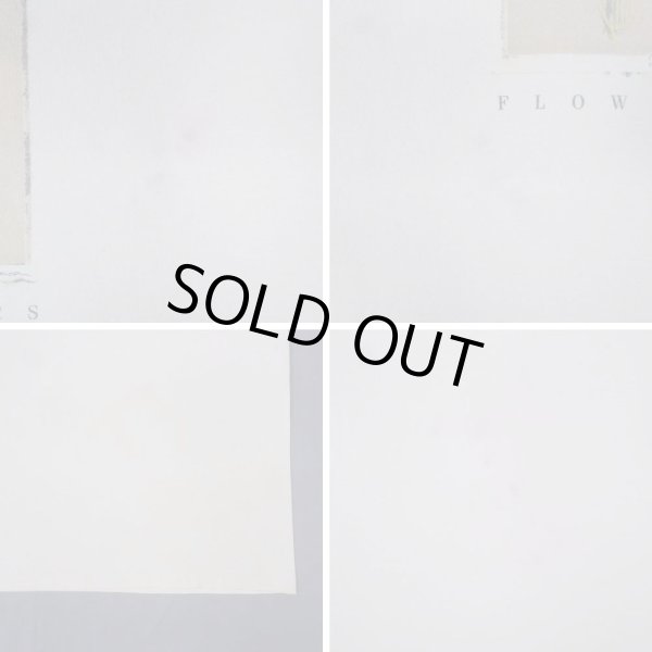 画像3: 90's PLANT THE EARTH アートTシャツ "MADE IN USA" (3)