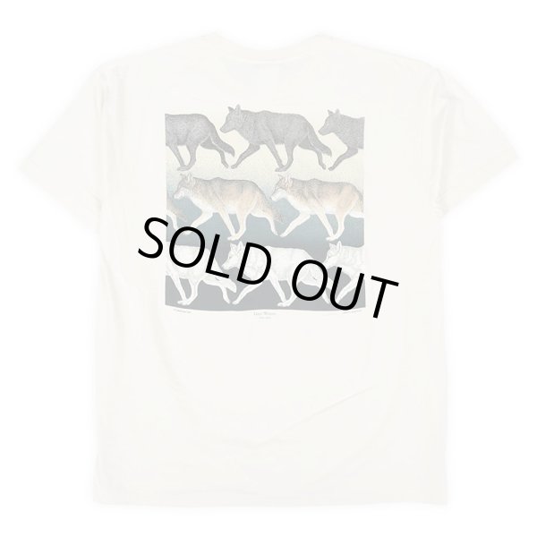 画像3: 00's LIBERTY GRAPHICS テストプリントTシャツ "DEADSTOCK / MADE IN USA" (3)