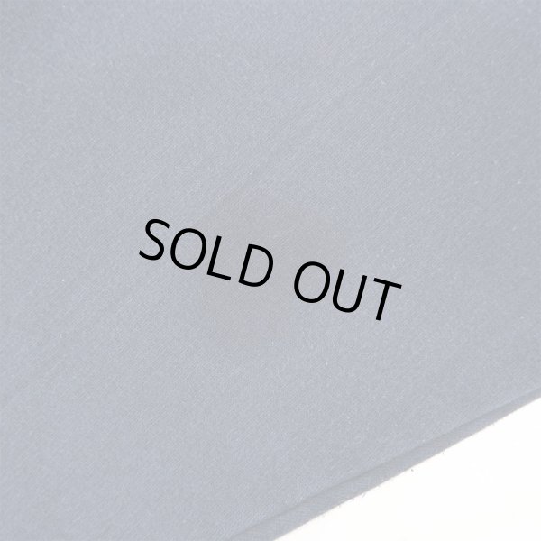 画像3: 00's STEVE AND BARRY'S リバースウィーブタイプ スウェットパーカー (3)