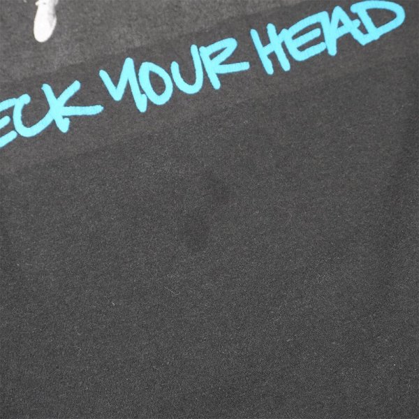 画像3: 00's BEASTIE BOYS バンドTシャツ "CHECK YOUR HEAD" (3)