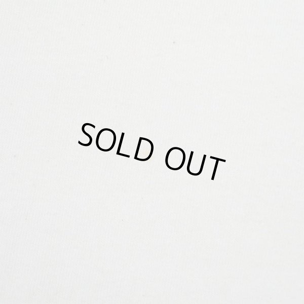 画像5: 90's L.L.Bean プリントTシャツ "MADE IN USA" (5)