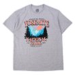 画像1: 00's Yosemite National Park プリントTシャツ (1)