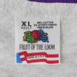 画像2: 90's Fruit of the loom フェイクレイヤードTシャツ "DEADSTOCK / OATMEAL × PURPLE" (2)