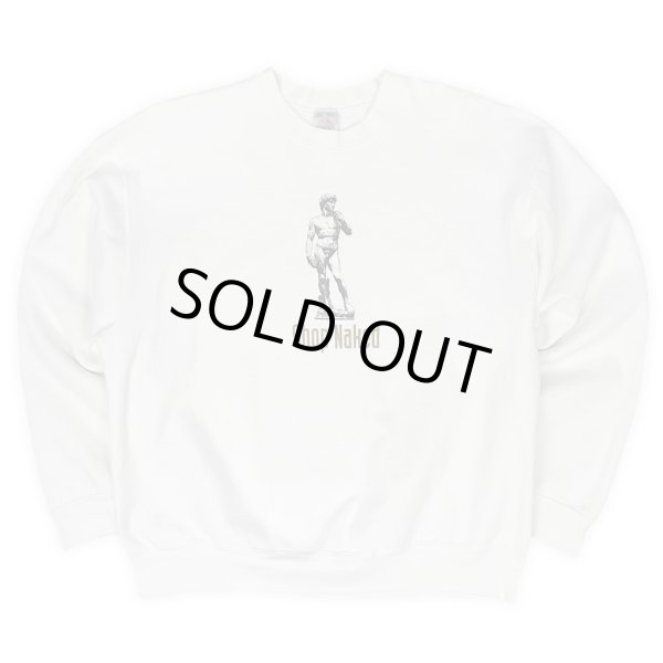 画像1: 90's eShop Inc. 両面プリントスウェット "Fruit of the loom Body / MADE IN USA" (1)