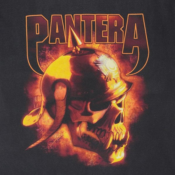 画像3: 00's PANTERA バンドTシャツ (3)