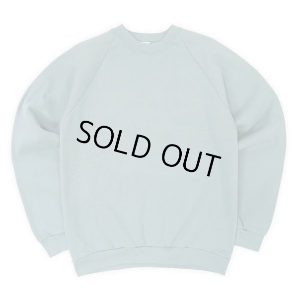 画像1: 90's SUNBELT ブランクスウェット "MADE IN USA" (1)