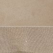 画像5: 00's RUSSELL 前V ブランクスウェット "LIGHT BROWN" (5)