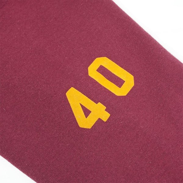 画像2: 80's RUSSELL カレッジプリント スウェットパーカー "MADE IN USA" (2)