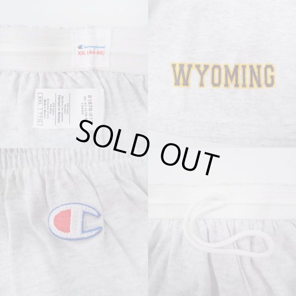 画像3: 90's Champion アスレチックショーツ "DEADSTOCK" (3)