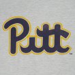 画像3: 90's Pittburgh カレッジプリントTシャツ "MADE IN USA / MV SPORT Body" (3)