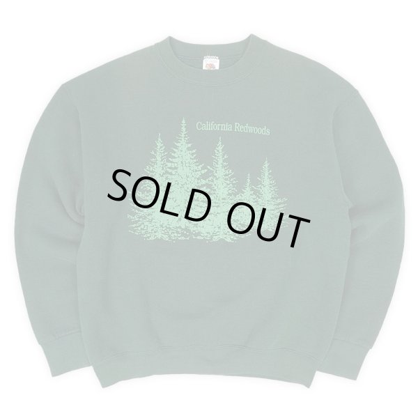 画像1: 90's California Redwoods スーベニアスウェット "MADE IN USA" (1)