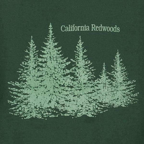 画像3: 90's California Redwoods スーベニアスウェット "MADE IN USA" (3)