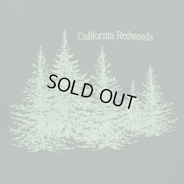 画像3: 90's California Redwoods スーベニアスウェット "MADE IN USA" (3)