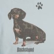 画像4: 00's Dachshund プリントスウェット (4)