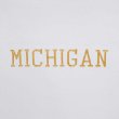 画像2: 90's MICHIGAN ロゴ刺繍Tシャツ "MADE IN USA" (2)