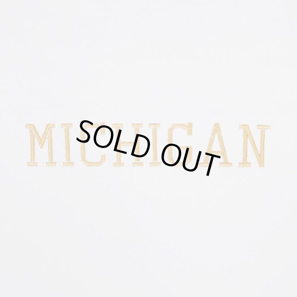 画像2: 90's MICHIGAN ロゴ刺繍Tシャツ "MADE IN USA" (2)