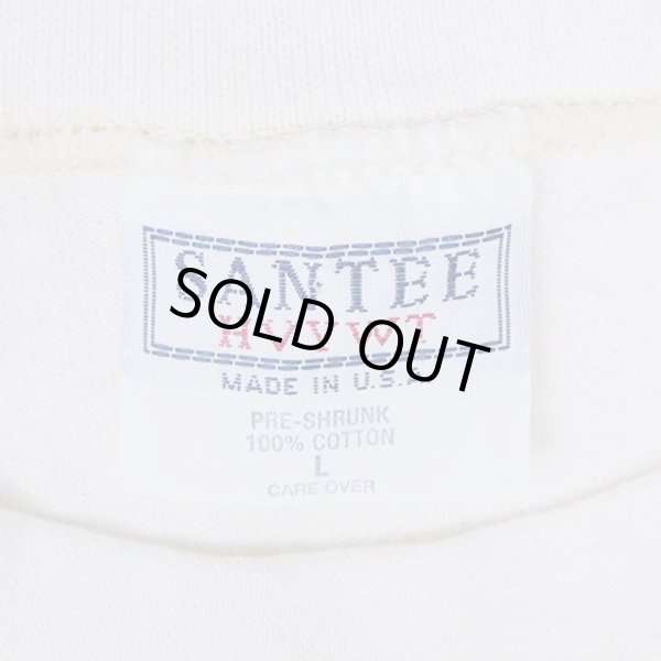 画像3: 90's MICHIGAN ロゴ刺繍Tシャツ "MADE IN USA" (3)