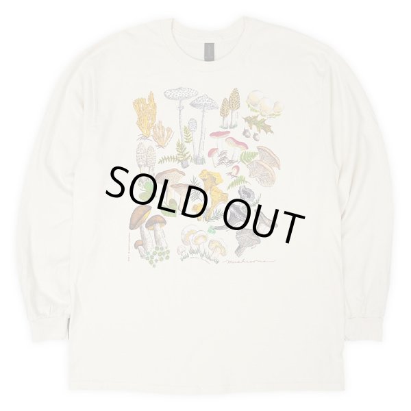 画像2: 00's LIBERTY GRAPHICS L/S テストプリントTシャツ “DEADSTOCK” #24-30 (2)